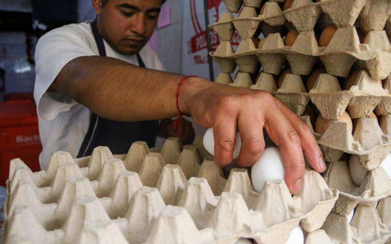 Alza en precio del huevo, duro golpe al bolsillo de los mexicanos y su ...